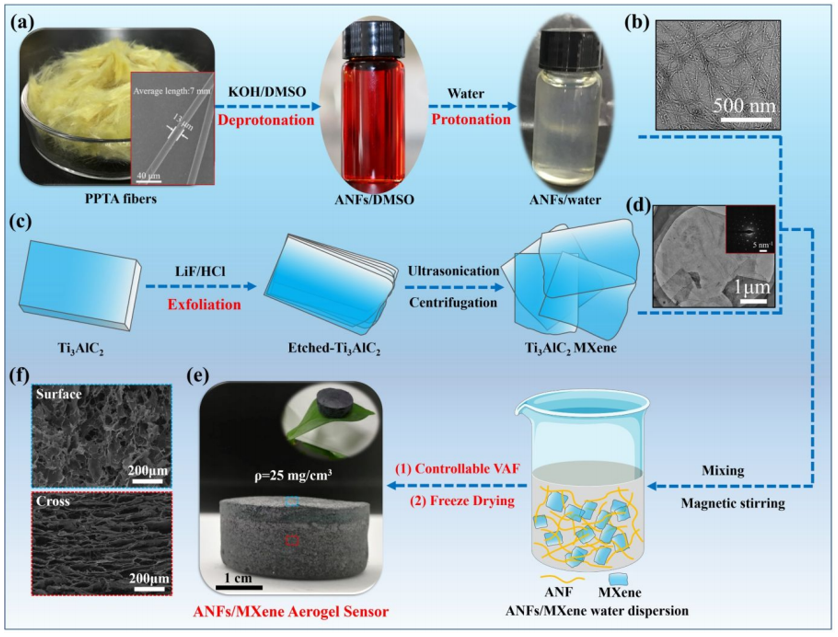 Kevlar納米纖維和MXene再登《ACS Nano》：陜科大張美云團隊：高回彈性、耐高溫、高靈敏度氣凝膠傳感器