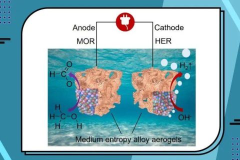 中熵合金氣凝膠的普適性合成實現甲醇→甲酸鹽高效轉化并產氫?